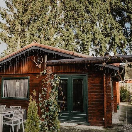 Cosy And Romantic Forest House Met Sauna Op De Veluwe Putten Eksteriør bilde
